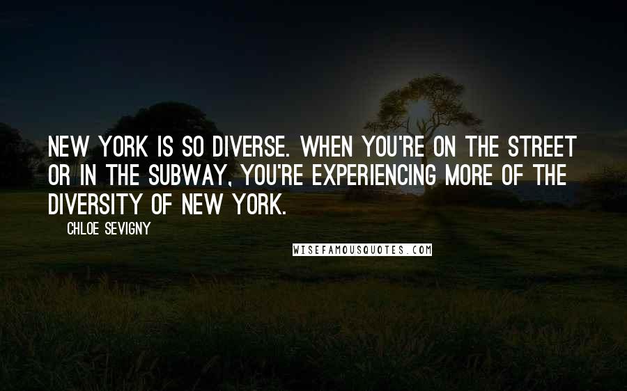 Chloe Sevigny Quotes: New York is so diverse. When you're on the street or in the subway, you're experiencing more of the diversity of New York.