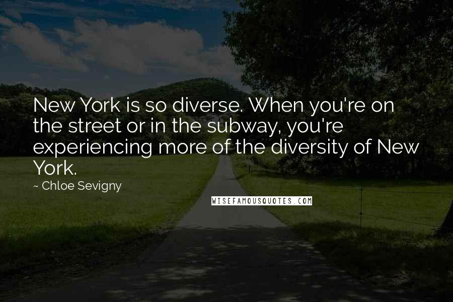Chloe Sevigny Quotes: New York is so diverse. When you're on the street or in the subway, you're experiencing more of the diversity of New York.