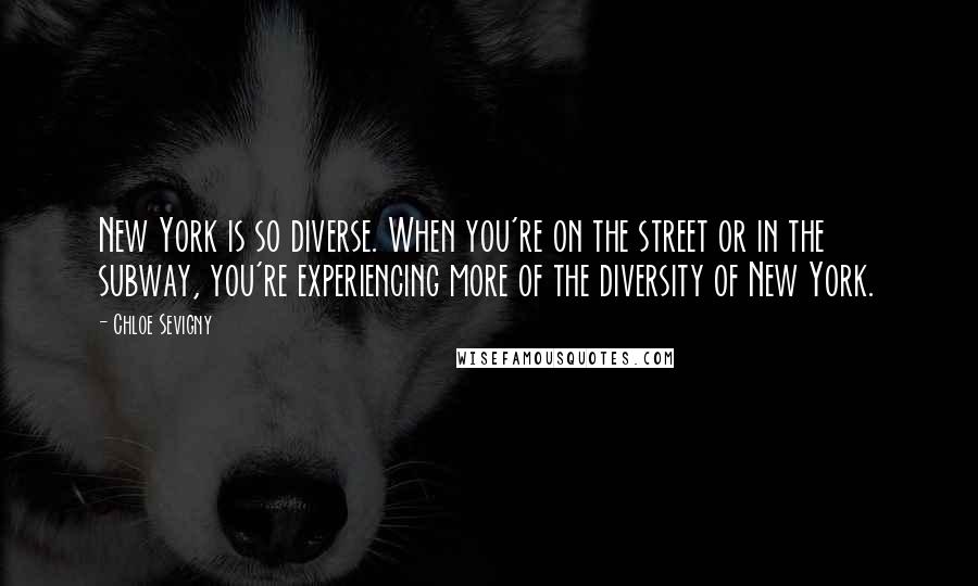 Chloe Sevigny Quotes: New York is so diverse. When you're on the street or in the subway, you're experiencing more of the diversity of New York.