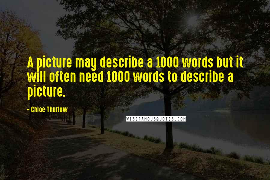 Chloe Thurlow Quotes: A picture may describe a 1000 words but it will often need 1000 words to describe a picture.