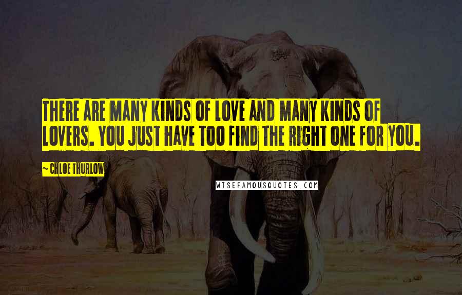 Chloe Thurlow Quotes: There are many kinds of love and many kinds of lovers. You just have too find the right one for you.