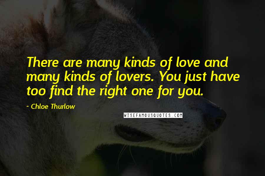 Chloe Thurlow Quotes: There are many kinds of love and many kinds of lovers. You just have too find the right one for you.