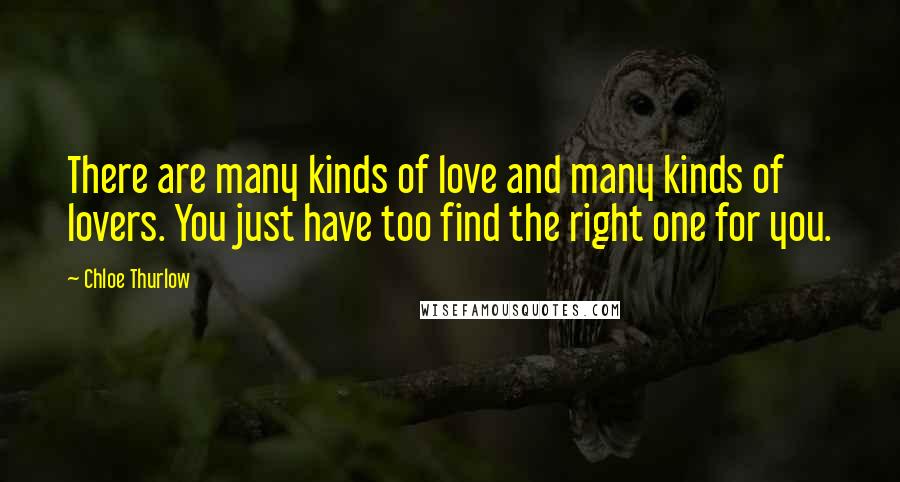 Chloe Thurlow Quotes: There are many kinds of love and many kinds of lovers. You just have too find the right one for you.