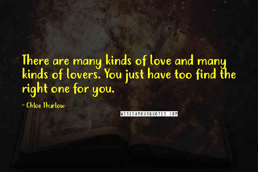 Chloe Thurlow Quotes: There are many kinds of love and many kinds of lovers. You just have too find the right one for you.