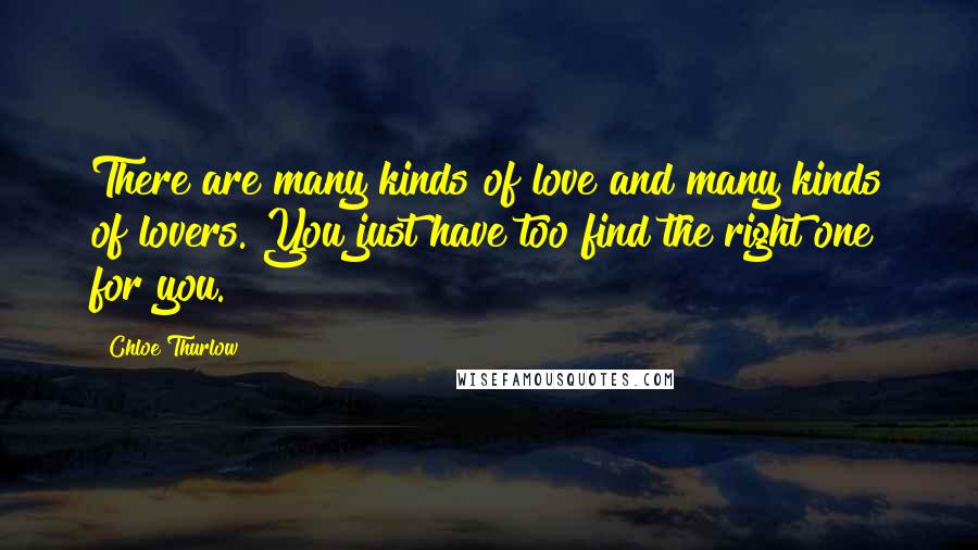 Chloe Thurlow Quotes: There are many kinds of love and many kinds of lovers. You just have too find the right one for you.