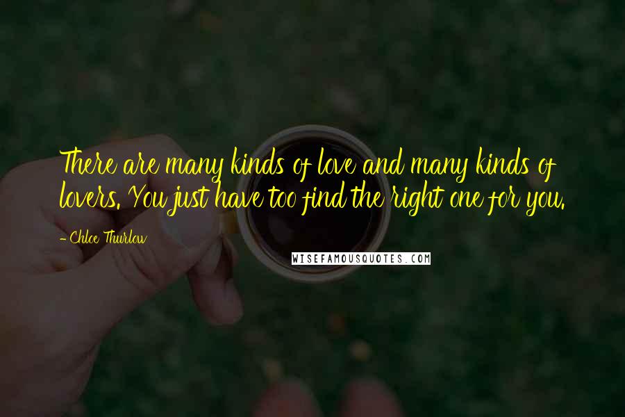 Chloe Thurlow Quotes: There are many kinds of love and many kinds of lovers. You just have too find the right one for you.