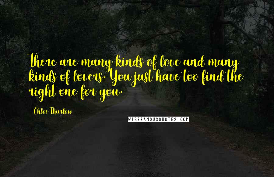 Chloe Thurlow Quotes: There are many kinds of love and many kinds of lovers. You just have too find the right one for you.