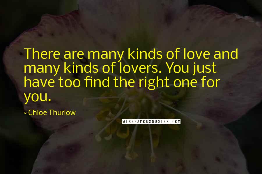 Chloe Thurlow Quotes: There are many kinds of love and many kinds of lovers. You just have too find the right one for you.