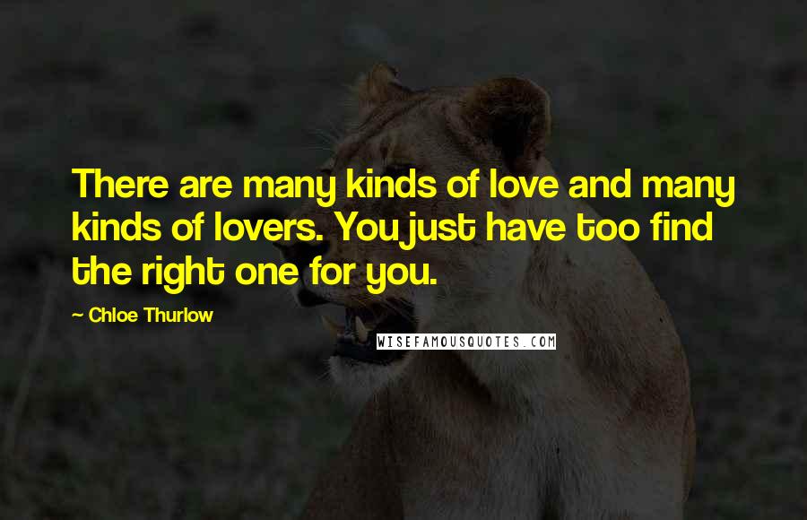 Chloe Thurlow Quotes: There are many kinds of love and many kinds of lovers. You just have too find the right one for you.