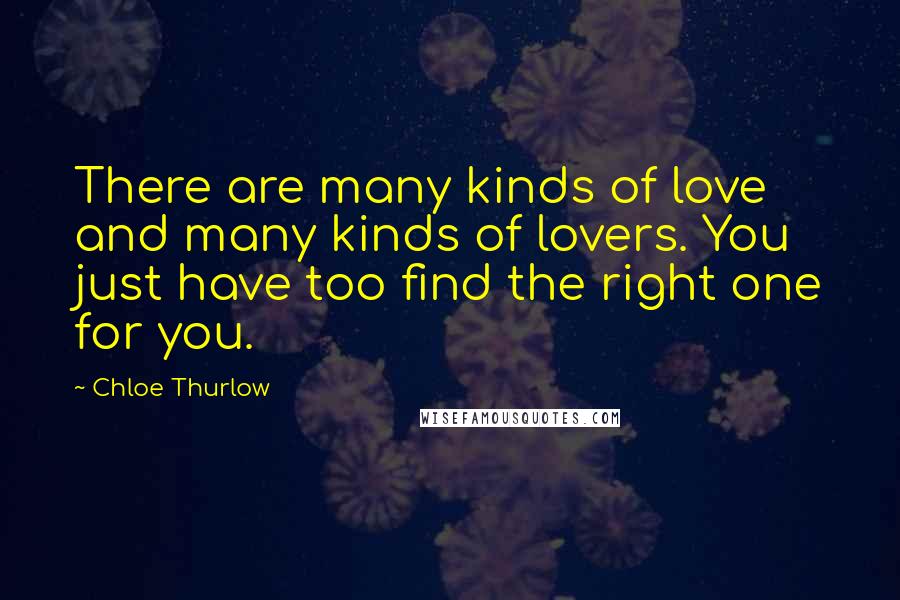 Chloe Thurlow Quotes: There are many kinds of love and many kinds of lovers. You just have too find the right one for you.