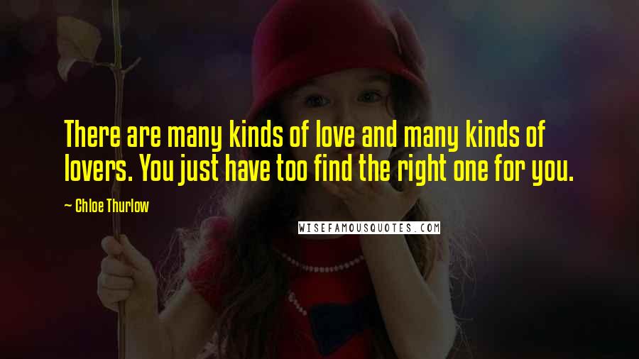 Chloe Thurlow Quotes: There are many kinds of love and many kinds of lovers. You just have too find the right one for you.