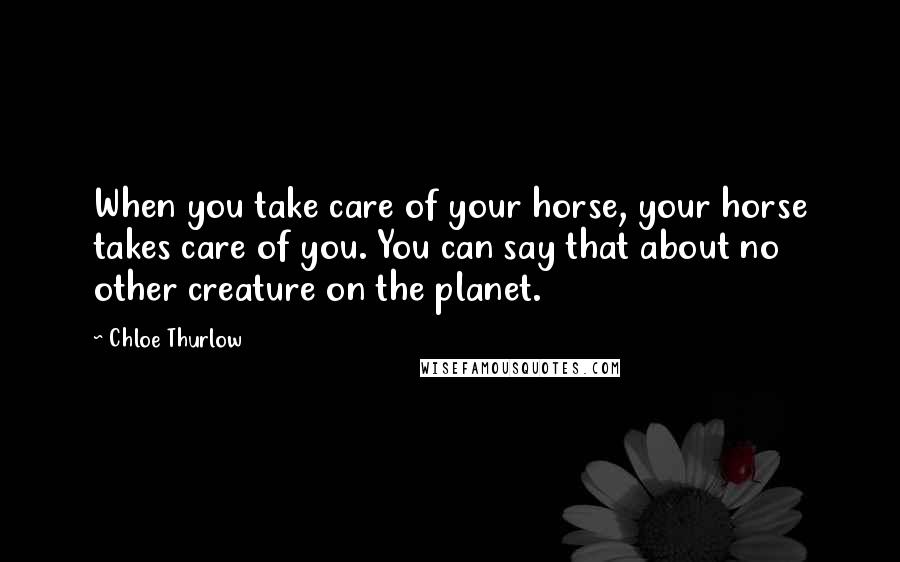 Chloe Thurlow Quotes: When you take care of your horse, your horse takes care of you. You can say that about no other creature on the planet.