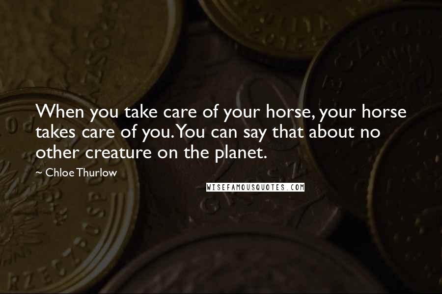 Chloe Thurlow Quotes: When you take care of your horse, your horse takes care of you. You can say that about no other creature on the planet.