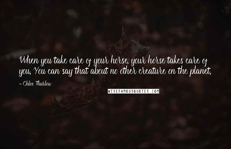 Chloe Thurlow Quotes: When you take care of your horse, your horse takes care of you. You can say that about no other creature on the planet.