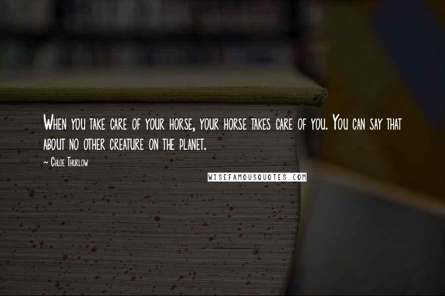 Chloe Thurlow Quotes: When you take care of your horse, your horse takes care of you. You can say that about no other creature on the planet.