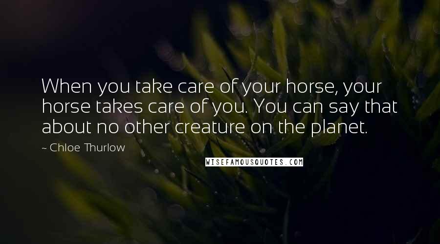 Chloe Thurlow Quotes: When you take care of your horse, your horse takes care of you. You can say that about no other creature on the planet.