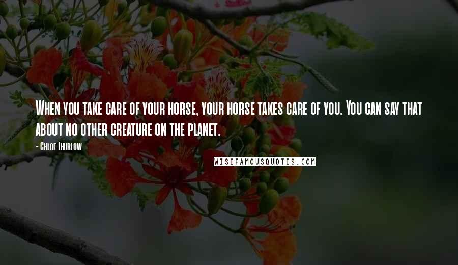 Chloe Thurlow Quotes: When you take care of your horse, your horse takes care of you. You can say that about no other creature on the planet.