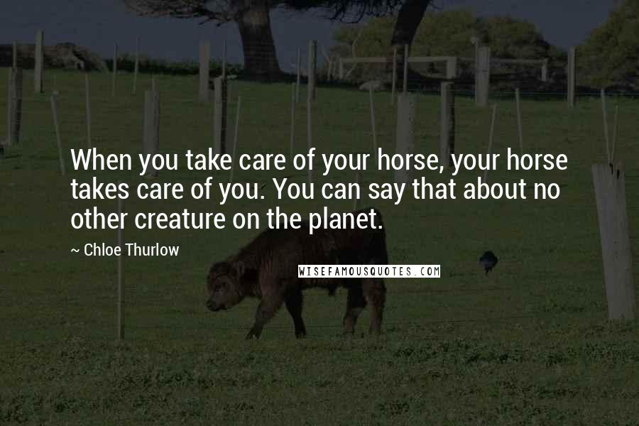 Chloe Thurlow Quotes: When you take care of your horse, your horse takes care of you. You can say that about no other creature on the planet.