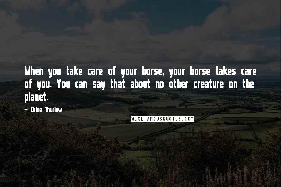 Chloe Thurlow Quotes: When you take care of your horse, your horse takes care of you. You can say that about no other creature on the planet.