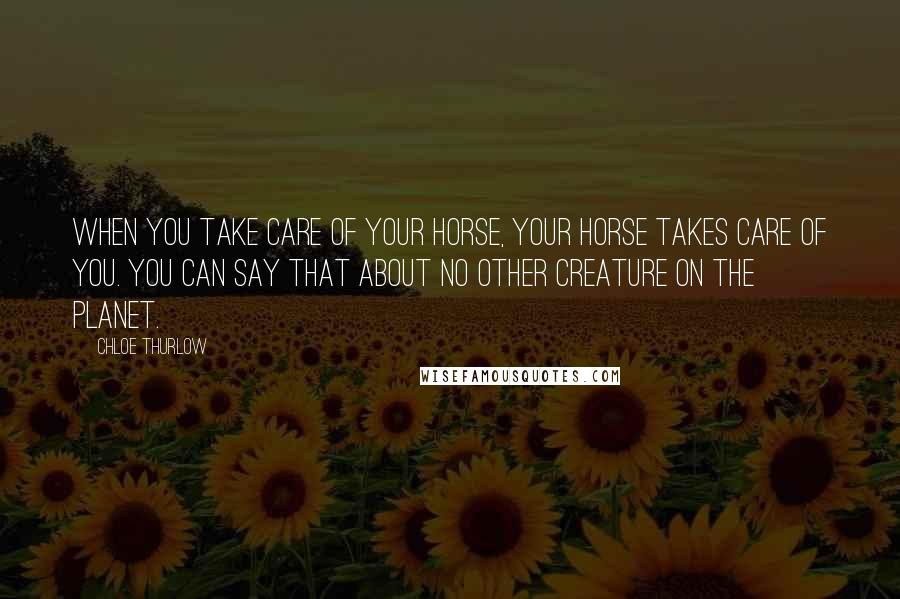 Chloe Thurlow Quotes: When you take care of your horse, your horse takes care of you. You can say that about no other creature on the planet.