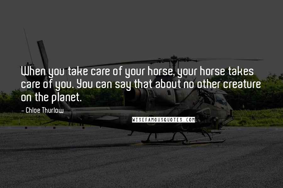 Chloe Thurlow Quotes: When you take care of your horse, your horse takes care of you. You can say that about no other creature on the planet.