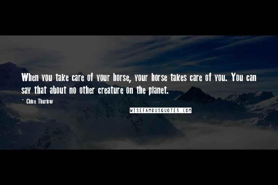 Chloe Thurlow Quotes: When you take care of your horse, your horse takes care of you. You can say that about no other creature on the planet.