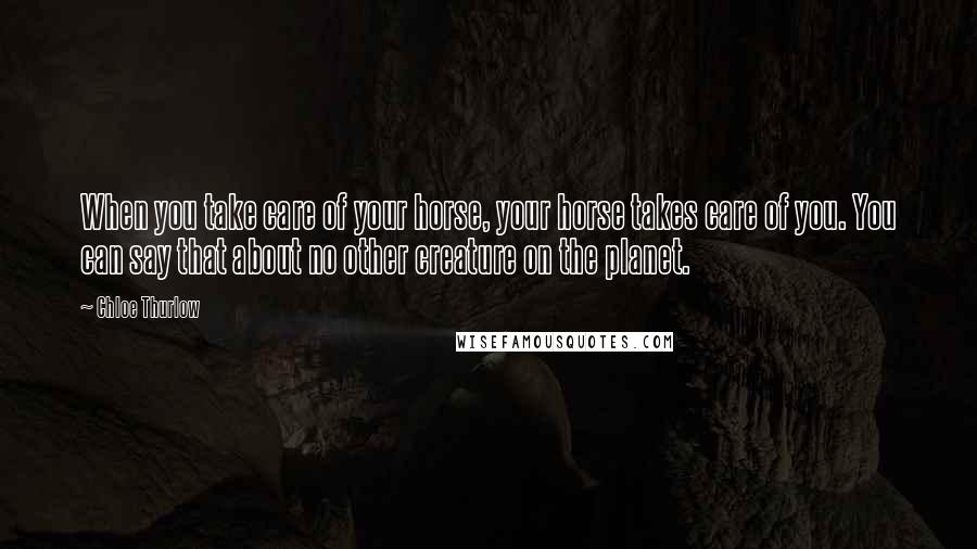 Chloe Thurlow Quotes: When you take care of your horse, your horse takes care of you. You can say that about no other creature on the planet.