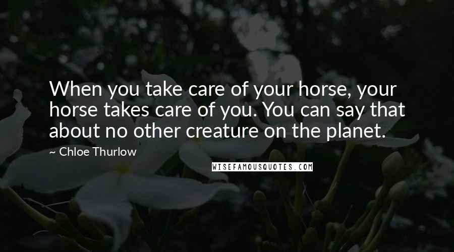 Chloe Thurlow Quotes: When you take care of your horse, your horse takes care of you. You can say that about no other creature on the planet.