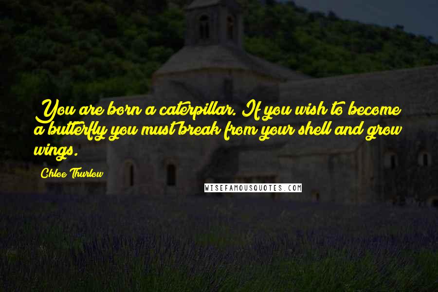 Chloe Thurlow Quotes: You are born a caterpillar. If you wish to become a butterfly you must break from your shell and grow wings.