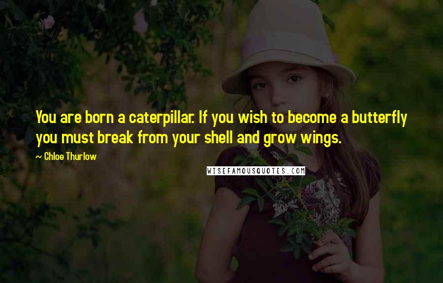 Chloe Thurlow Quotes: You are born a caterpillar. If you wish to become a butterfly you must break from your shell and grow wings.
