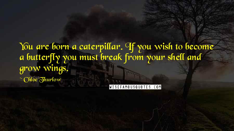 Chloe Thurlow Quotes: You are born a caterpillar. If you wish to become a butterfly you must break from your shell and grow wings.