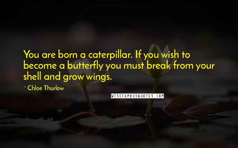 Chloe Thurlow Quotes: You are born a caterpillar. If you wish to become a butterfly you must break from your shell and grow wings.