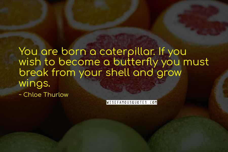 Chloe Thurlow Quotes: You are born a caterpillar. If you wish to become a butterfly you must break from your shell and grow wings.