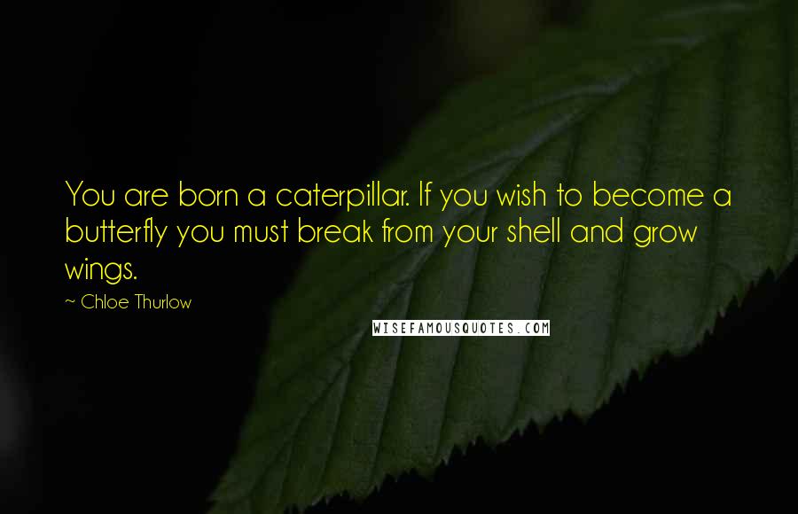 Chloe Thurlow Quotes: You are born a caterpillar. If you wish to become a butterfly you must break from your shell and grow wings.