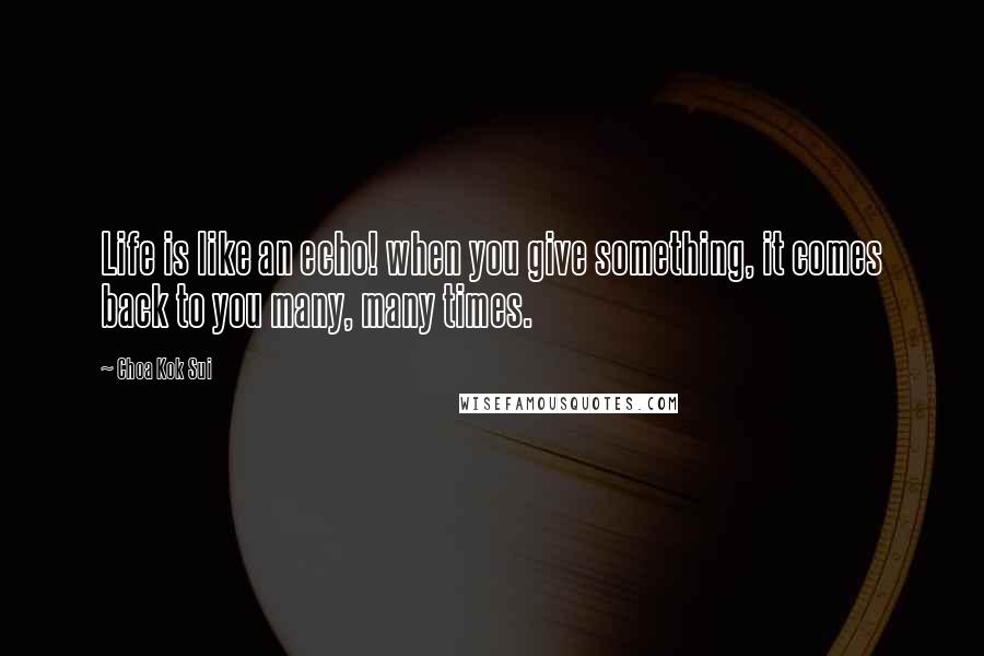 Choa Kok Sui Quotes: Life is like an echo! when you give something, it comes back to you many, many times.