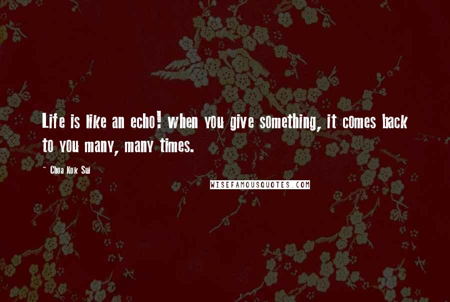 Choa Kok Sui Quotes: Life is like an echo! when you give something, it comes back to you many, many times.