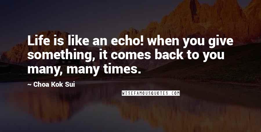 Choa Kok Sui Quotes: Life is like an echo! when you give something, it comes back to you many, many times.