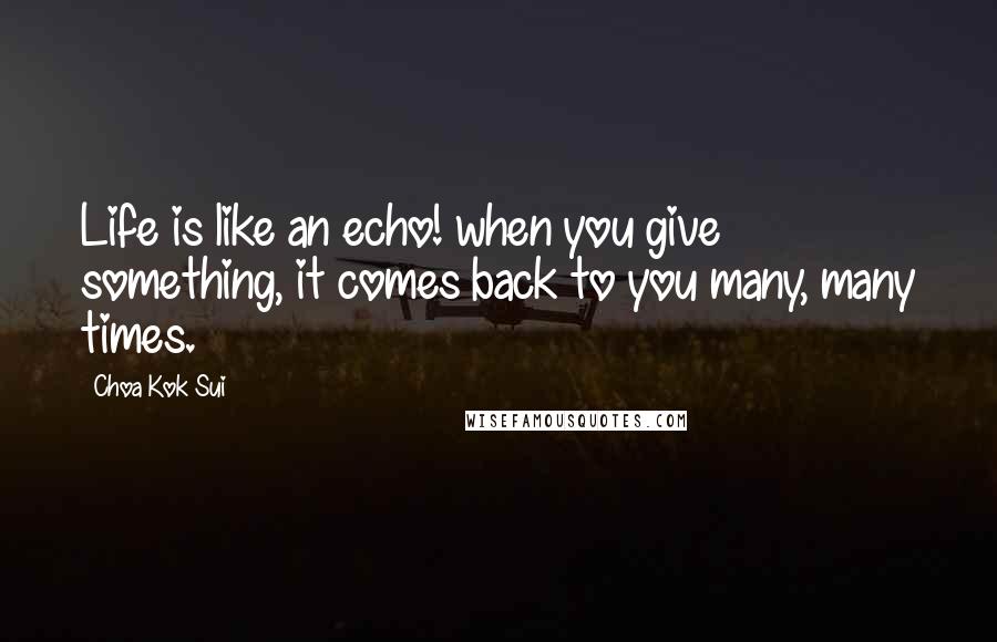 Choa Kok Sui Quotes: Life is like an echo! when you give something, it comes back to you many, many times.