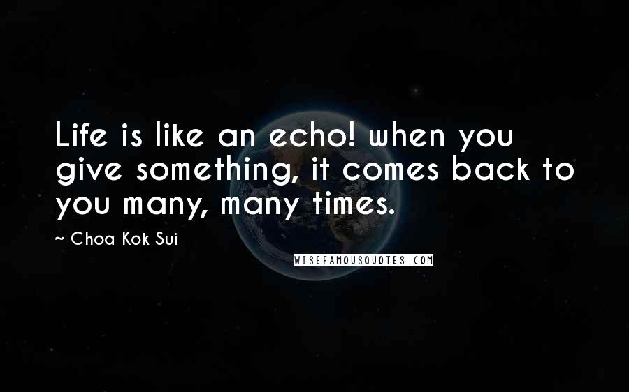 Choa Kok Sui Quotes: Life is like an echo! when you give something, it comes back to you many, many times.