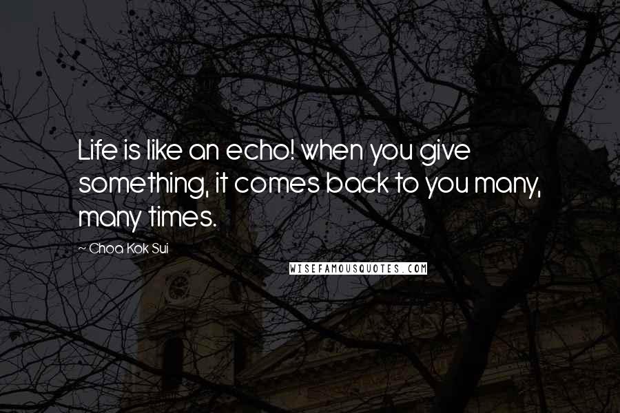 Choa Kok Sui Quotes: Life is like an echo! when you give something, it comes back to you many, many times.