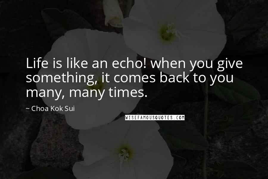 Choa Kok Sui Quotes: Life is like an echo! when you give something, it comes back to you many, many times.