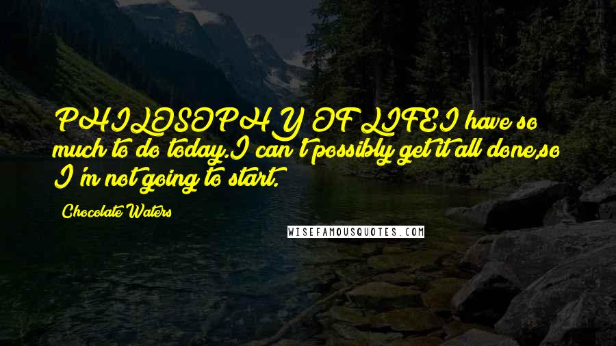 Chocolate Waters Quotes: PHILOSOPHY OF LIFEI have so much to do today.I can't possibly get it all done,so I'm not going to start.