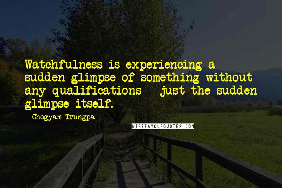 Chogyam Trungpa Quotes: Watchfulness is experiencing a sudden glimpse of something without any qualifications - just the sudden glimpse itself.