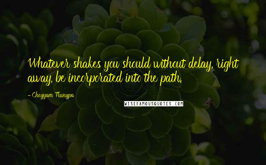 Chogyam Trungpa Quotes: Whatever shakes you should without delay, right away, be incorporated into the path.