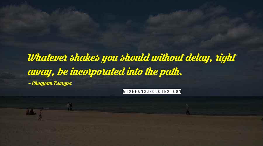 Chogyam Trungpa Quotes: Whatever shakes you should without delay, right away, be incorporated into the path.