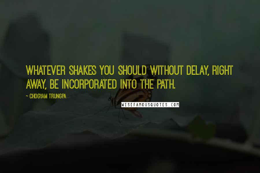 Chogyam Trungpa Quotes: Whatever shakes you should without delay, right away, be incorporated into the path.