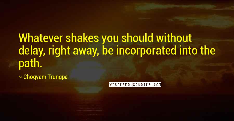 Chogyam Trungpa Quotes: Whatever shakes you should without delay, right away, be incorporated into the path.