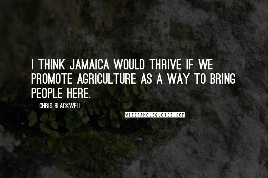 Chris Blackwell Quotes: I think Jamaica would thrive if we promote agriculture as a way to bring people here.