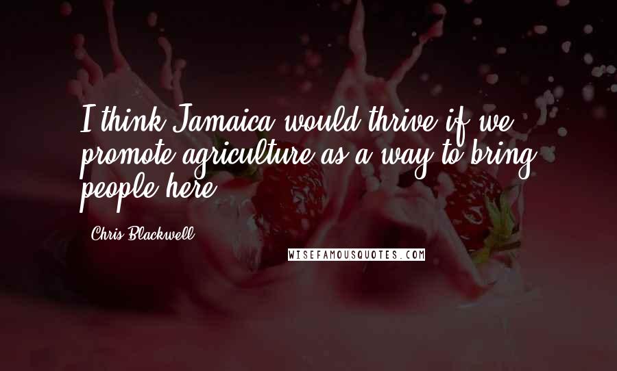 Chris Blackwell Quotes: I think Jamaica would thrive if we promote agriculture as a way to bring people here.