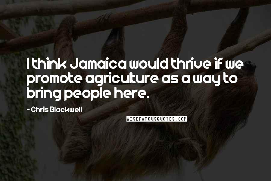Chris Blackwell Quotes: I think Jamaica would thrive if we promote agriculture as a way to bring people here.